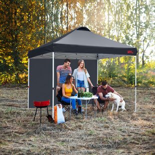 Replacement Canopy For 10 X 10 Gazebo Instant Pop Up | Wayfair